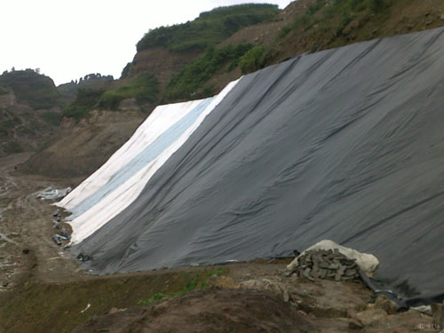 1580464155381579.jpg 1580464155381579.jpg